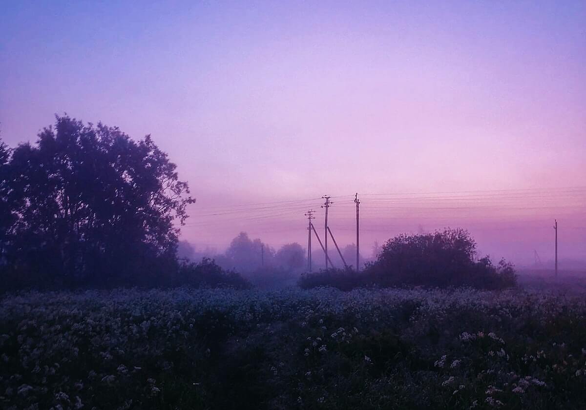 开云-申花vs珀斯：全华班出战 金信煜莫雷诺替补待命